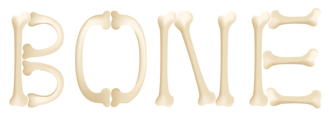 bone vector graphic
