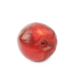 Red plum fruit isolated