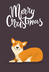 Merry Christmas and Calm Dog Vector Illustration