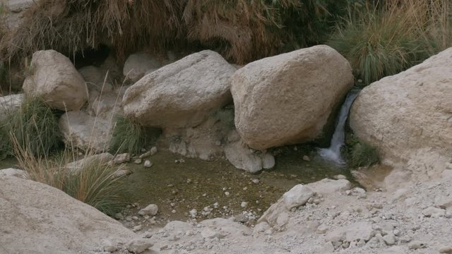 Small waterfall and rocks in Ein Gedi Nature Reserve, Israel.