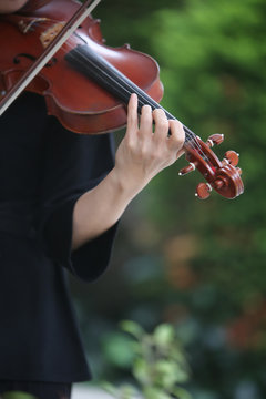 Violin