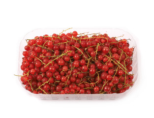 Plastic box of red currant isolated