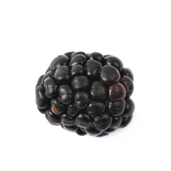 Single blackberry fruit isolated