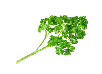 Fresh parsley isolated on a white background