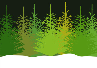 Vector illustration of fir trees in snow