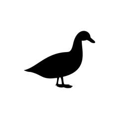 duck vector silhouette