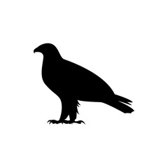 eagle vector silhouette
