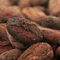 Cocoa beans background composition
