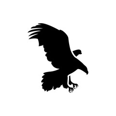 flying eagle vector silhouette