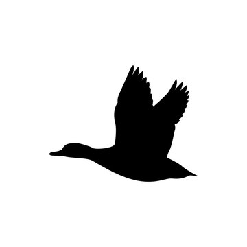 flying duck vector silhouette