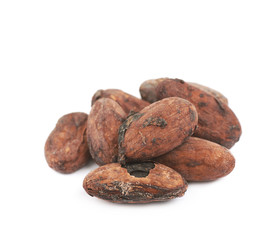 Pile of cocoa beans isolated