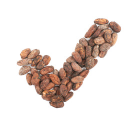 Tick sign of cocoa beans isolated