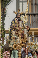 Hermandad de la Borriquita, semana santa de Sevilla
