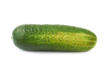 Fresh green cucumber isolated