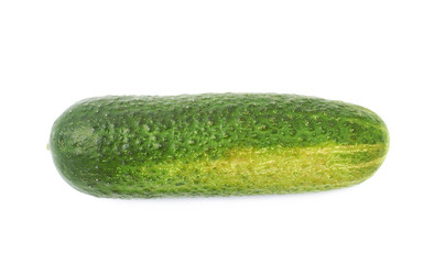 Fresh green cucumber isolated