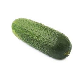 Fresh green cucumber isolated