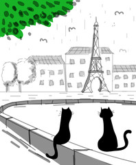Kedi ve Paris