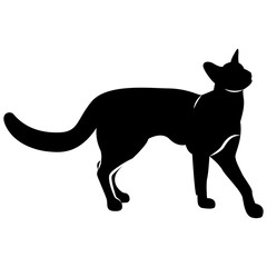 Vector image of a silhouette of a cat on a white background