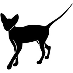 Vector image of a silhouette of a cat on a white background