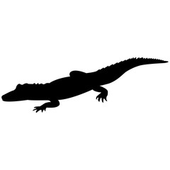 Obraz premium Vector image of a crocodile silhouette on a white background