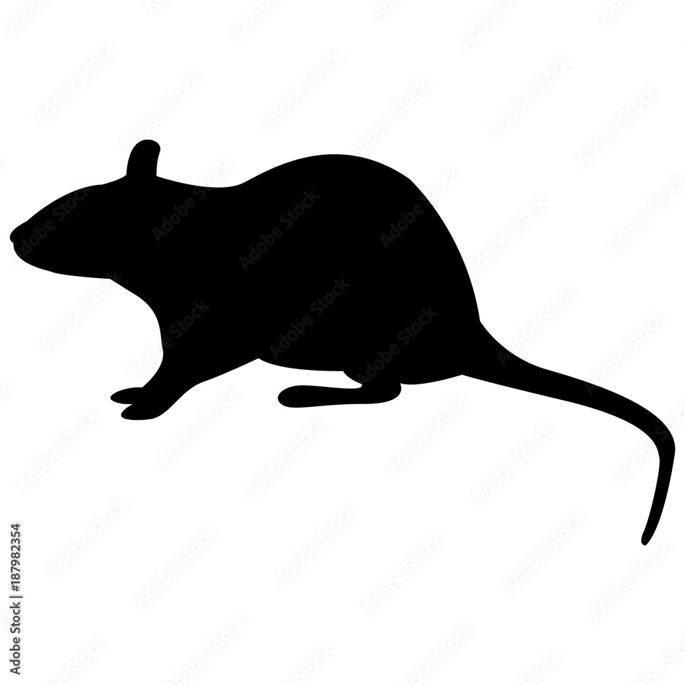 Wall mural Vector image of a silhouette of a rat on a white background