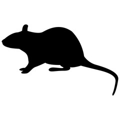 Vector image of a silhouette of a rat on a white background