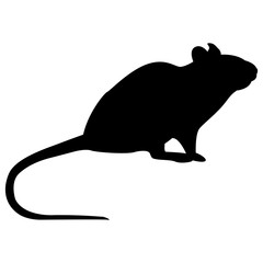 Vector image of a silhouette of a rat on a white background
