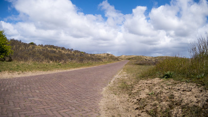 Fototapeta na wymiar Duinen Castricum path 2