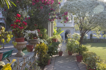 Fototapeta na wymiar Exotic designed garden. landscape design of the indian garden.