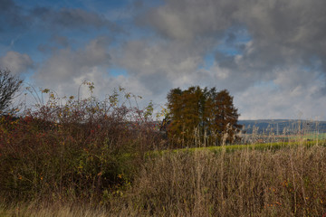 Fototapeta premium Landschaft im Herbst