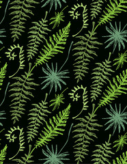 Hand drawn doodle pattern with palm tree leaves. Tropical leaves