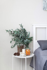 Eucalyptus in the interior, morning coffee on the table in the bedroom by the bed