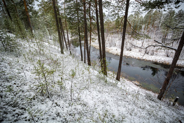 Forest winter flow river lies and strikes the shores of the Siberian taiga