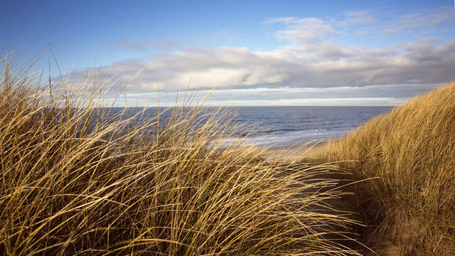 Winteridylle auf Sylt in und um Wenningstedt, Westerland, Braderup, und Rantum an der Nordsee, Deutschland