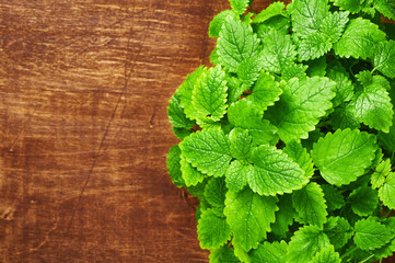 Mint leaves on a wooden background. Melissa © CHREMOS
