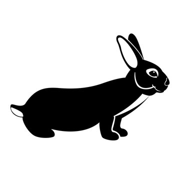 rabbit vector illustration flat style  profile side