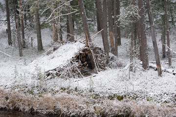 Taiga wooden hut in winter forest