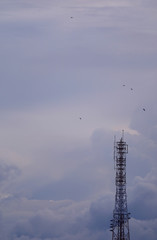 Obraz premium Telecommunication Tower against Evening Cloudy Sky with Many Flying Birds 