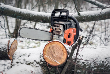 Chainsaw in the woods on the stump
