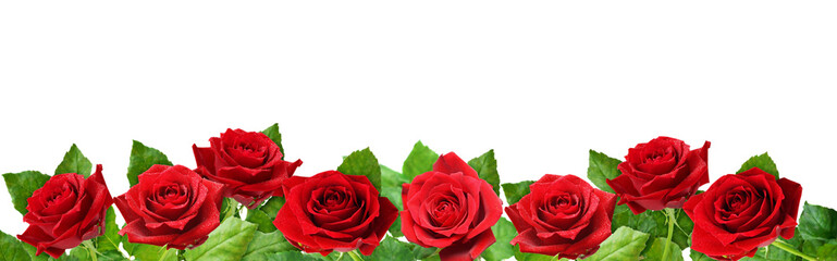 Obraz premium Red rose flowers border