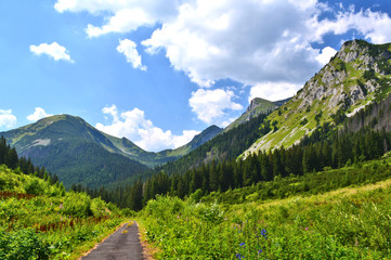 Obraz premium Mountains summer landscape with blue sky and clouds, Tatras National Park, Slovakia