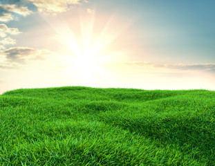 Fototapeta na wymiar Sky and grass background, fresh green fields