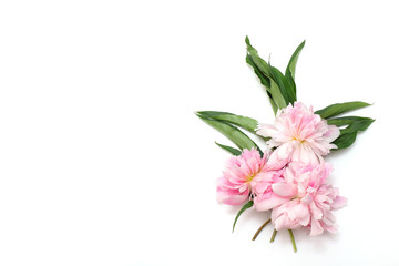 Minimal concept. Beautiful peony flower and green leaves on a white background. Creative layout