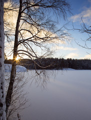 Wintry landscape in Finland. Sun is shining through the tree branches. Snow covered ground and lake ice. Silent and peaceful scenery.