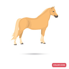 Fototapeta na wymiar Welsh pony color flat icon