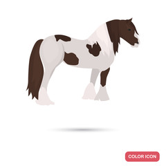 English heavyweights color flat icon