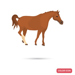 Don's horse color flat icon