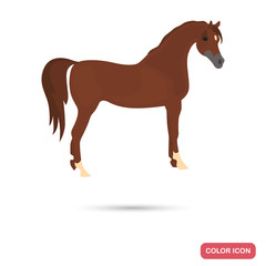 Arabian horse color flat icon