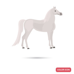 Obraz na płótnie Canvas Iberian horse color flat icon