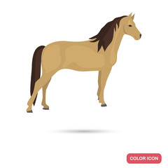 Fototapeta na wymiar Morgan horse color flat icon